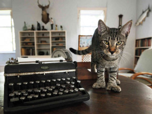 ... -toed cats at the Ernest Hemingway Home and Museum in Key West, Fla