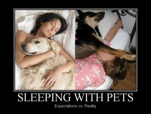 Sleeping with pets