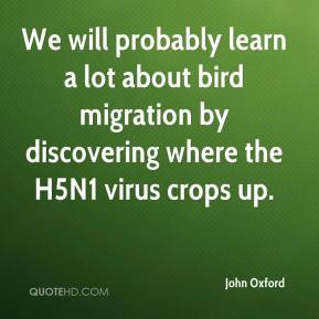 We will probably learn a lot about bird migration by discovering where ...