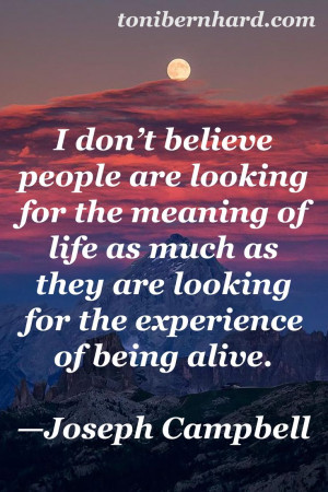 Joseph Campbell could very well be