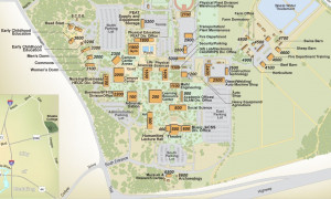 new york university campus map