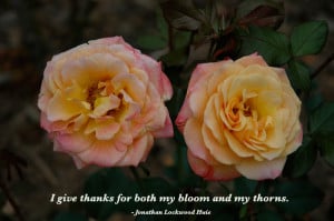 sayings about thanks from my large collection of inspirational sayings