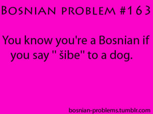 bosnian problem | Tumblr