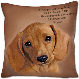 Funny Dachshund Quotes
