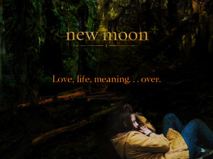 Twilight Series Love, Life, Meaning Over
