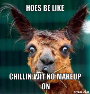 HOES BE LIKE, CHILLIN WIT NO MAKEUP ON