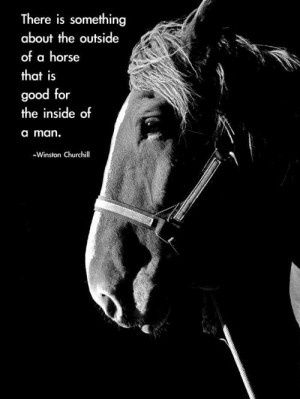 Indeed there most certainly is. #Winston_Churchill #quotes #horses