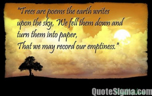 beauty in not in the face beauty is a light in the heart khalil gibran ...