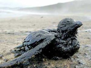 gigantic-plumes-of-oil-are-forming-under-the-gulf-spill-vastly-worse ...
