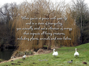 great tranquility quotes