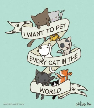 want to pet every cat in the world:)