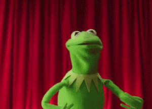 The Muppets sequel is officially happening