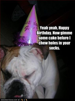 happy birthday funny dog. Sms, sms,happy birthday wishes