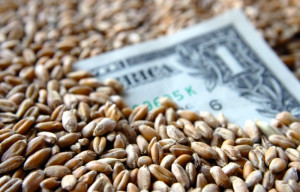 Grain Market Quotes