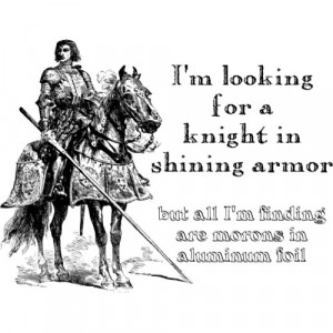 Knight In Shining Armor Funny Shirt by FunnyBusiness