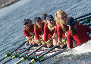 Creative Rowing Sayings & Slogans for Your Crew Team