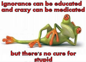Theres no cure for stupid