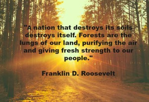 nation that destroys its soils destroys itself. Forests are the ...