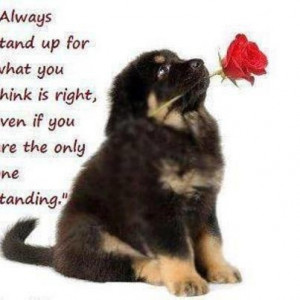 Found on funny-quotes-and-sayings-for-her-romantic.funnyfunny12.no-ip ...