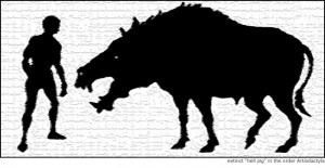 Artiodactyla Animals List Species listed under