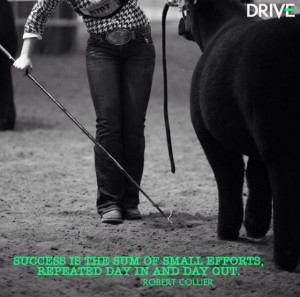 Steering Show Quotes Life, Country Girls, Cow, Stockshow Life, Cattle ...
