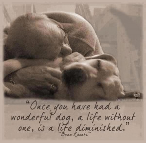 ... Wonderful Dog, A Life Without One, Is A Life Diminished - Animal Quote