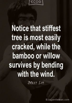 ... bamboo or willow survives by bending with the wind. Quote by Bruce Lee