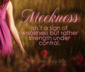 meekness isn't a sign of weakness by rather of strength under control