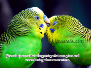 Parrot Friendship Quotes