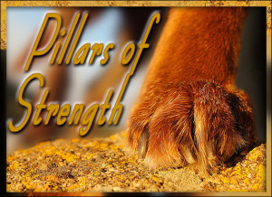 best dog blog, champion of my heart, pillars of strength graphic