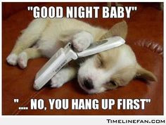 Good Night Funny