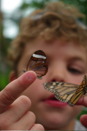 Quotable Creation Care: J. Sterling Morton and the Next Generation