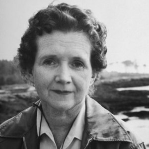 Rachel Carson – Biologist, Environmentalist and Author 1907 -1964
