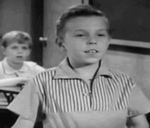 found for Tiger Fafara on http://www.tvsinopse.kinghost.net