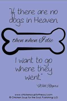 ... when i die i want to go where they went will rogers # dogs # quotes