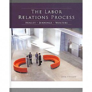 The Labor Relations Process (Hardcover)