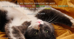 Martin Delany Quote