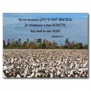Galations 6:7 Be not deceived, God is not mocked.. Post Cards