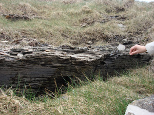 examples of social stratification and social inequality in trinidad