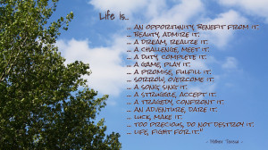 life-is-1920x1080-life-quote-wallpaper-121-1886352145.jpg