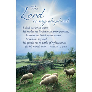 Amazing The Good Lord Is My Shepherd Bible Verses