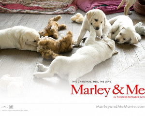 Marley-And-Me-dog-film-movies-1280x1024.jpg