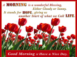 Lovely Good Morning Sms Good Morning Good Morning Friends Have A Nice ...