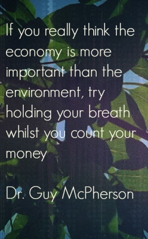 ... The Economy Is More Important Than The Environment - Environment Quote