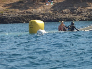 Oops!! Pics & Quotes...