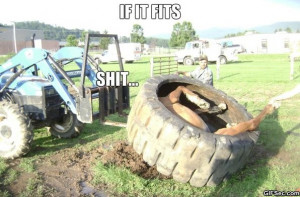 Horse Stuck In A Tyre