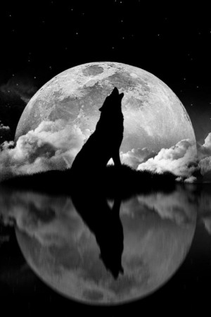 good night eagle/wolf