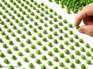 Obsessive-Compulsive Disorder (OCD) Marker Identified