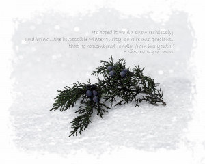 Everlasting, purity and Snow Falling on Cedars quote