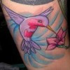 Hummingbird Tattoos, History, and Meanings; Hummingbird Symbolism And ...